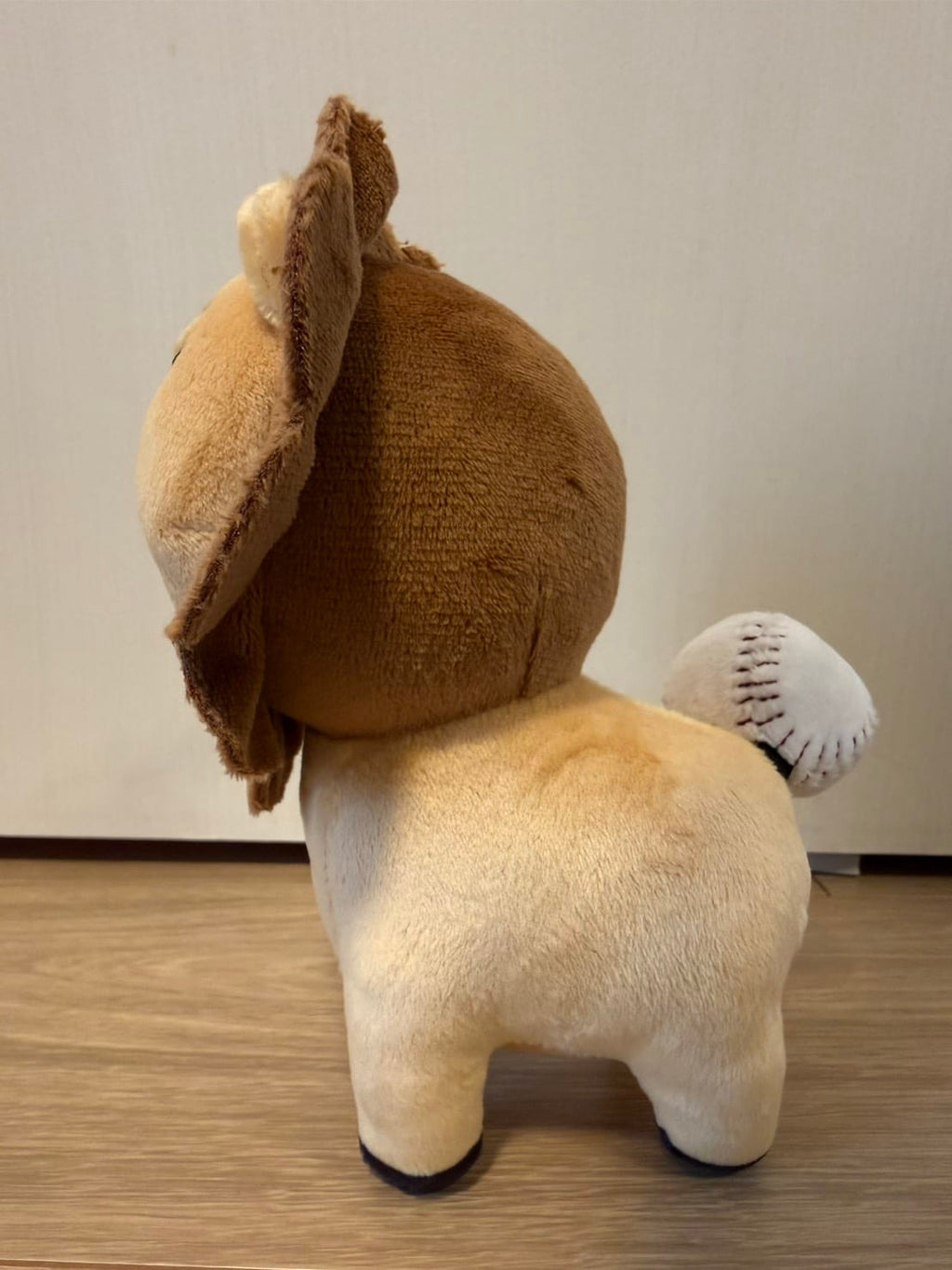 【4月下旬配送予定】らいおんた